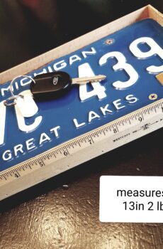 Catch-All Tray Made from a Michigan License Plate & Rulers