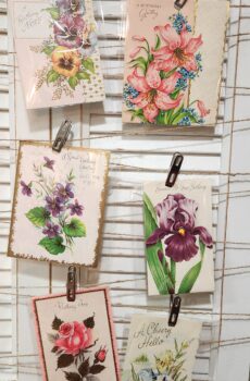 Vintage 1900s Birthday Card Set – Full of History & Charm!