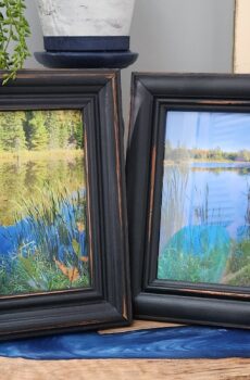 Set of 2 Picture Frames with Driftwood & Pinecones