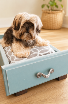 Solid Wood Drawer Pet Bed with Fleece Bedding